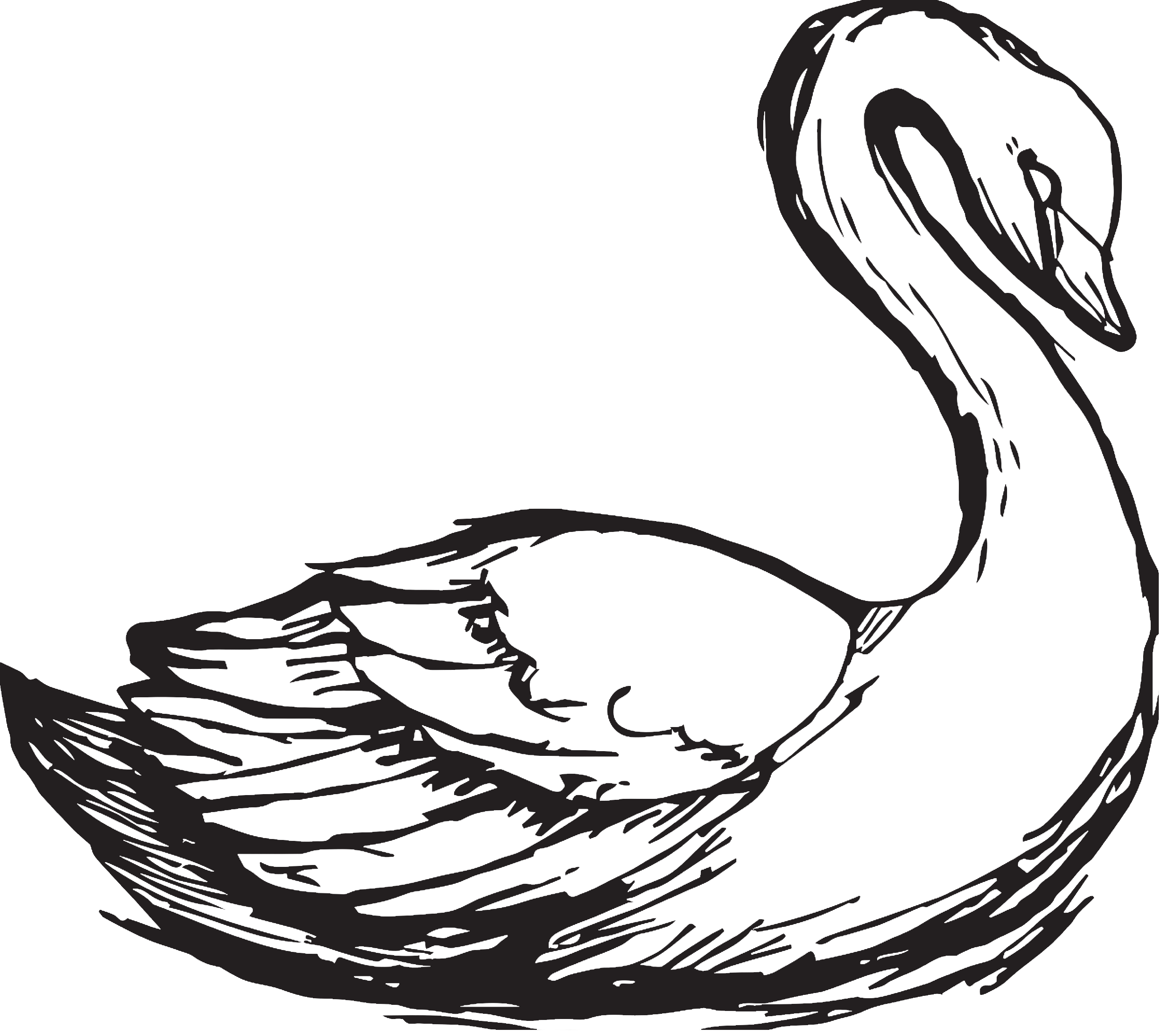 The Swan logo