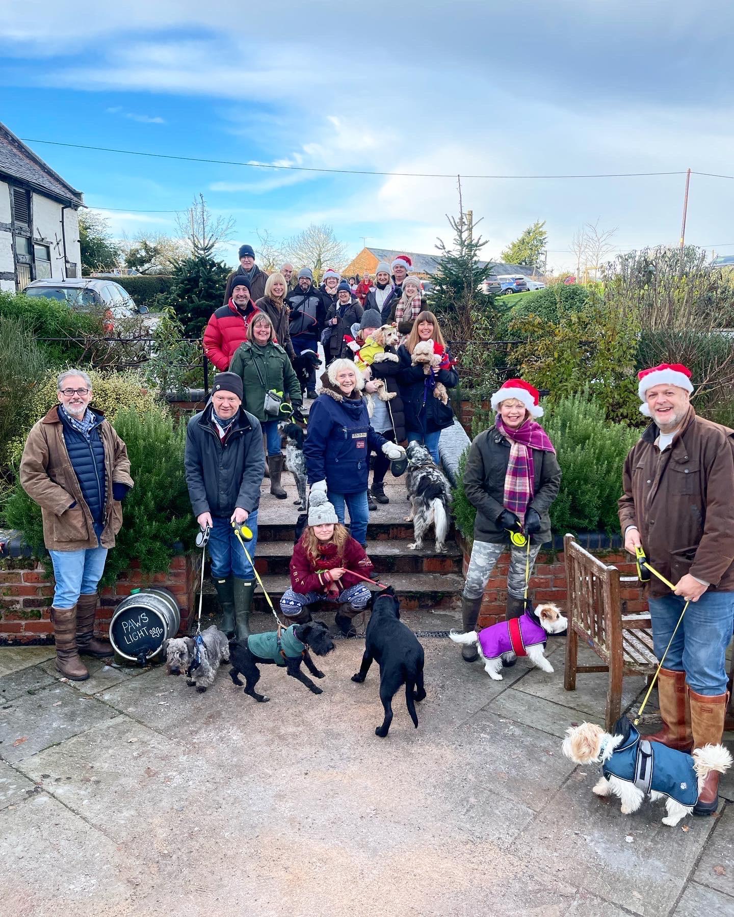 Swan Christmas Walk