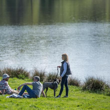 Marbury Mere