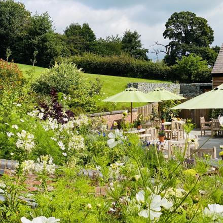 Gardens 2 July 20